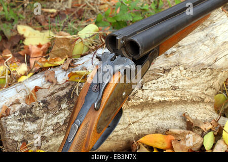 A wooden retro shotgun in autumn style Stock Photo