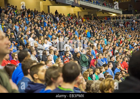 Detroit, Michigan - The crowd at a National Football League game at Ford Field. Stock Photo