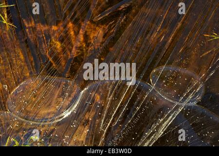 Abstract close-up photographs of ice patterns and formations, Brecon Beacons National Park, Wales, UK, EU. Stock Photo