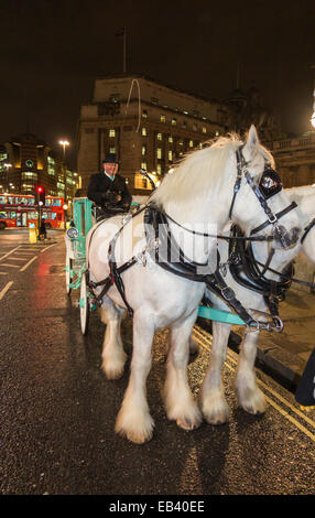 London, UK. 25th Nov, 2014. Two white shire horses pull a blue Tiffany & Co carriage through the streets of the City of London, UK.  The occasion was the switching on of the Tiffany & Co Christmas tree illuminations on the steps outside the Royal Exchange in the City of London by Sheriff Waddingham of the City of London, on Tuesday 25 November 2014. Credit:  Graham Prentice/Alamy Live News Stock Photo