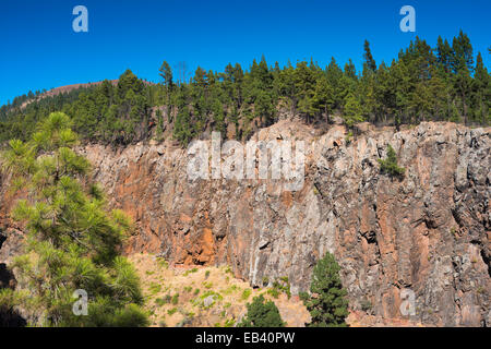 Red lava cliffs, topped by native pine forest, forming the eastern wall of the Barranco de las Goteras, near Ifonche, Tenerife Stock Photo