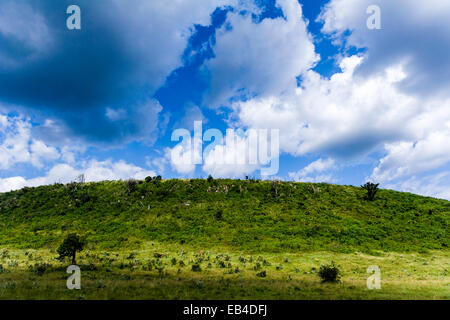 Storm clouds build over the summit of a small hill rising above the savannah plain. Stock Photo