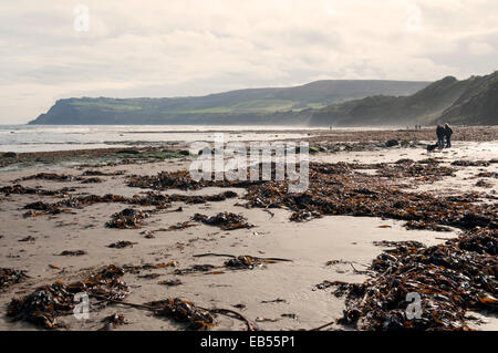 Robin Hood's Bay Beachcombing Stock Photo