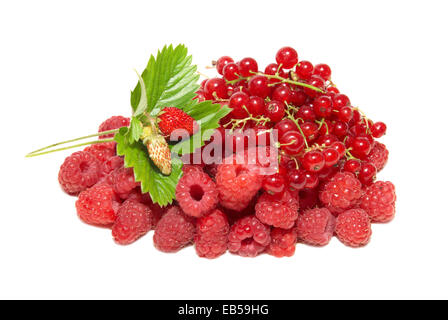 Pile of fruits isolated on white background Stock Photo