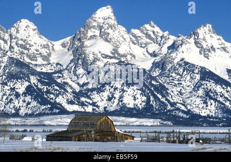 This historic weathered barn in Grand Teton National Park is dwarfed by the snow-covered Grand Teton Mountains near Jackson Hole, Wyoming, USA. Stock Photo