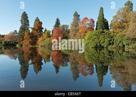 Autumnal colors changing leaves reflected in calm and serenity of peaceful mirror like lake water surface Stock Photo