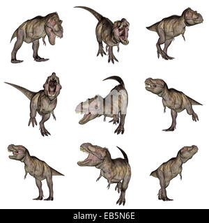 Set of nine tyrannosaurus rex dinosaurs in white background Stock Photo