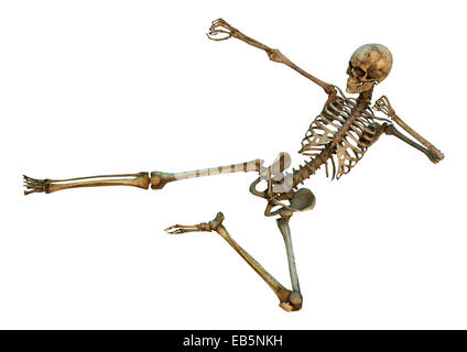 3D digital render of a human skeleton in a yoko-tobi geri martial arts position isolated on white background Stock Photo