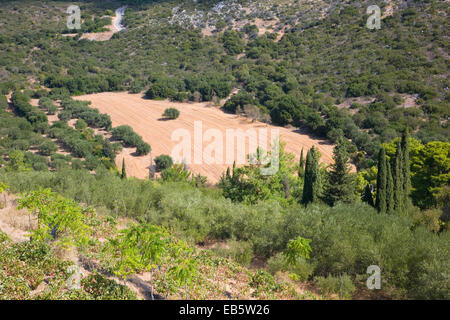 Kastro, Kefalonia, Ionian Islands, Greece. View over typical agricultural land from the hilltop Castle of Agios Georgios. Stock Photo