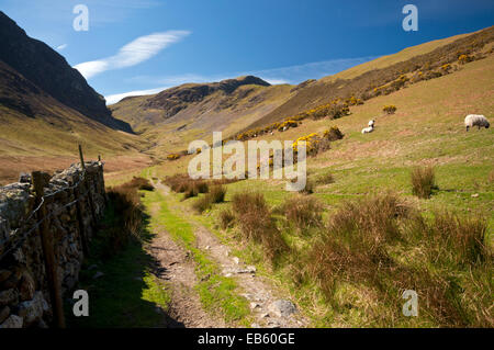 The Newlands Valley in the Lake District National Park. Robinson is seen to the right towring above the valley. Stock Photo