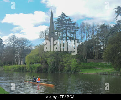 A Pair of Rowers on the River Avon in Front of Holy Trinity Church (resting place of William Shakespeare), Stratford upon Avon Stock Photo