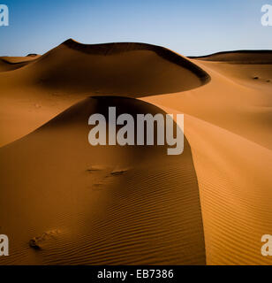 SAND DUNES SAHARA DESERT ERG ZHAR MOROCCO AFRICA Stock Photo
