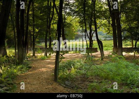 COUNTRYSIDE  REDDING CONNECTICUT Stock Photo