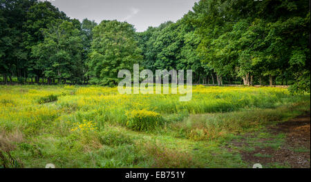 COUNTRYSIDE  REDDING CONNECTICUT Stock Photo