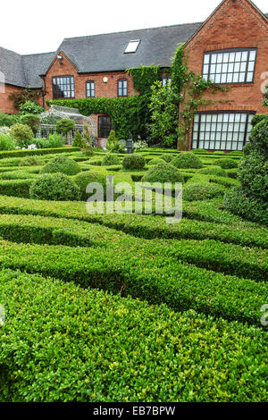 Topiary and yew hedges at Wilkins Pleck garden, Whitmore, Newcastle under Lyme, Stoke on Trent, Staffordshire, England, UK Stock Photo