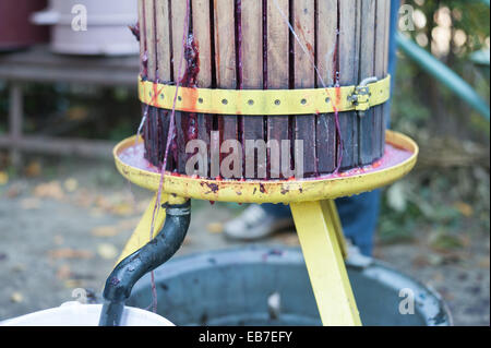 Traditional wine making process Stock Photo