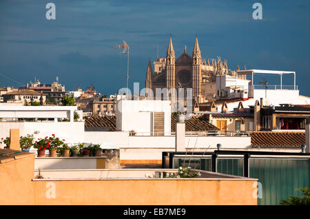 PALMA, MAJORCA - NOVEMBER 15, 2011: Cathedral view over the roof tops seen from Santa Catalina on November 15 2011 in Palma Stock Photo