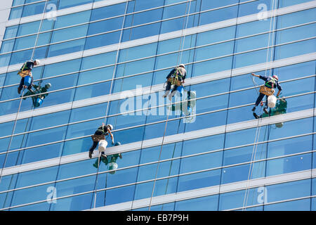 Window cleaners cleaning windows of modern office tower high rise building skyscraper using RDS ropes and bosun's chair Stock Photo