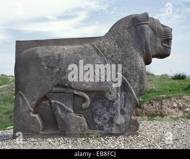 Neo-Hittite. Colossal basalt lion found in 1955. Ain Dara Temple. Syria. Stock Photo