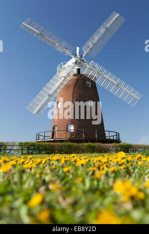 UK, Thaxted, John Webb's windmill. Stock Photo