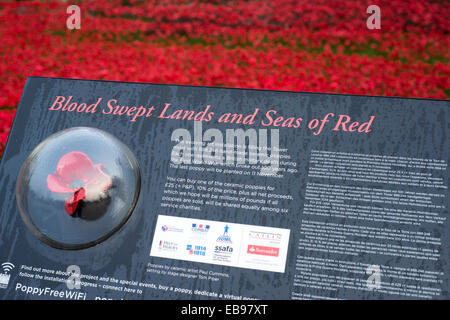 Ceramic poppies at the Blood Swept Lands and Seas of Red installation at the Tower of London, England, UK Stock Photo