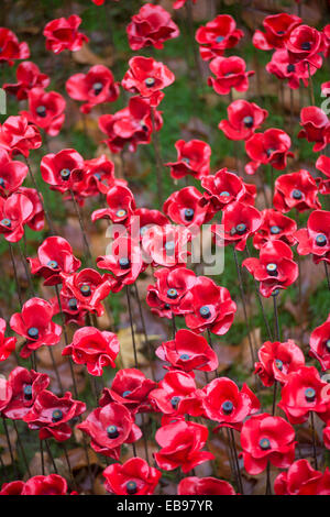 Ceramic poppies at the Blood Swept Lands and Seas of Red installation at the Tower of London, England, UK Stock Photo