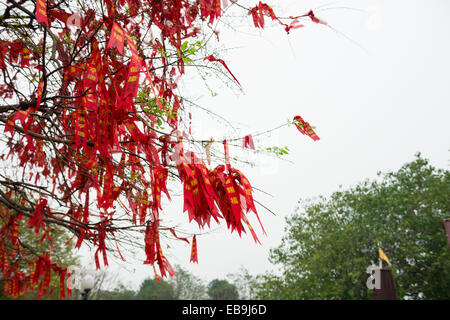 lots of wishing ribbon hanging on blessing tree Stock Photo