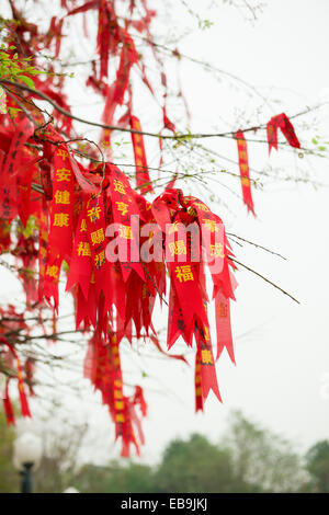 lots of wishing ribbon hanging on blessing tree Stock Photo