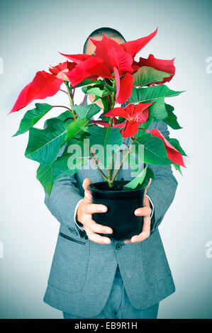 a young man in suit bringing a poinsettia plant to the observer Stock Photo