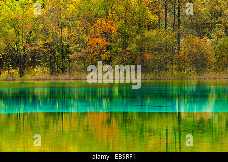 Five Flower Lake in autumnal environment, Jiuzhaigou National Park, UNESCO World Heritage Site, Sichuan Province, China Stock Photo