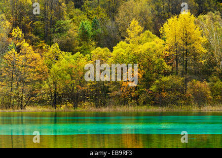Five Flower Lake in autumnal environment, Jiuzhaigou National Park, UNESCO World Heritage Site, Sichuan Province, China Stock Photo