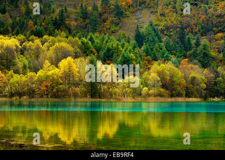 Five Flower Lake in autumnal environment, Jiuzhaigou National Park, UNESCO World Heritage Site, Sichuan Province, China Stock Photo