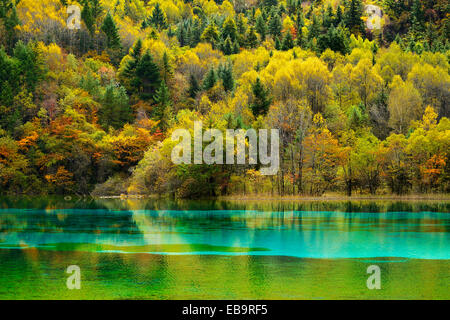 Five Flower Lake in autumnal environment, Jiuzhaigou National Park, UNESCO World Heritage Site, Sichuan Province, China Stock Photo