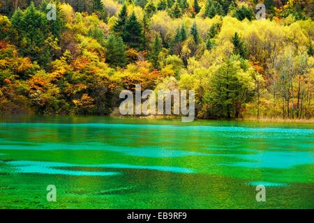 Five Flower Lake in autumnal environment, Jiuzhaigou National Park, UNESCO World Heritage Site, Sichuan Province, China Stock Photo