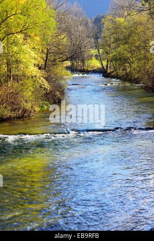 Leitzach river, mountain stream, the course of the river is lined with trees in autumnal colours, European Ash trees (Fraxinus Stock Photo