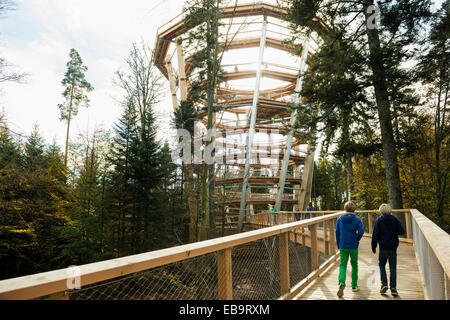 Treetop trail on Mt Sommerberg, Bad Wildbad, Black Forest, Baden-Württemberg, Germany Stock Photo