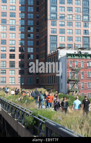 People walking along The High Line in New York Stock Photo - Alamy