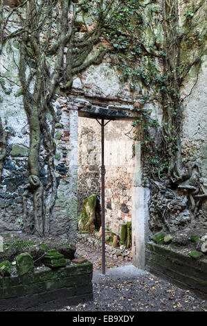 Villa Trissino Marzotto, Vicenza, Italy. Interior of the ruined lower villa, destroyed by fire in 1841 Stock Photo