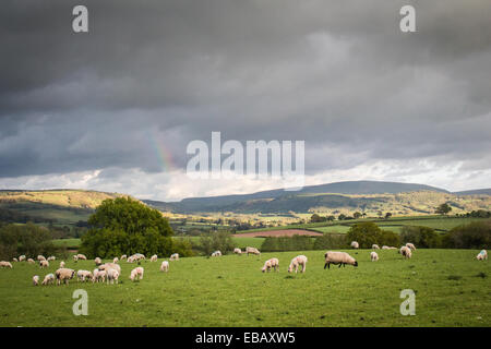 View of the Black Mountains near Hay On Wye. Stock Photo