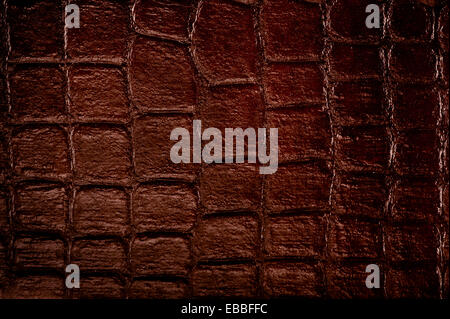 Dark brown snake leather cloth imitation Stock Photo