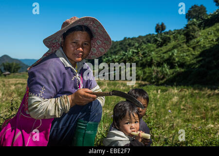 Karen hill tribes woman having a break from cutting sugar cane Stock Photo