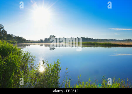 Prerowstrom in Morning, Prerow, Fischland-Darss-Zingst, Mecklenburg-Western Pomerania, Germany Stock Photo