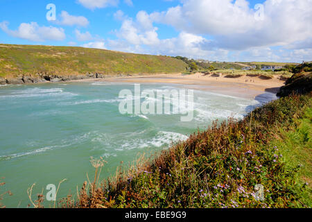 Porthcothan Bay Cornwall England UK Cornish north coast between Newquay and Padstow on a sunny blue sky day Stock Photo