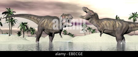 Two tyrannosaurus rex dinosaurs fighting into the water in desertic landscape Stock Photo