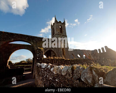 Baltinglass Abbey in County Wicklow, Ireland Stock Photo