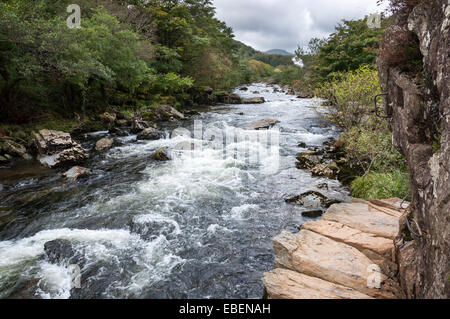 The Afon (river) Glaslyn as it passes through the Aberglaslyn Pass near Beddgelert in Snowdonia, North Wales. Stock Photo