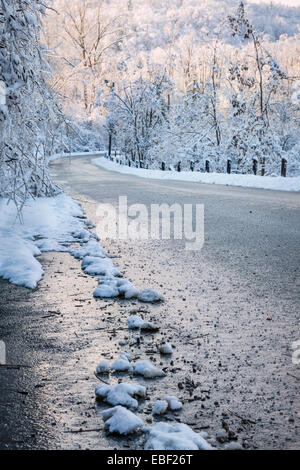 Winter road through icy forest covered in snow after ice storm and snowfall. Ontario, Canada. Stock Photo