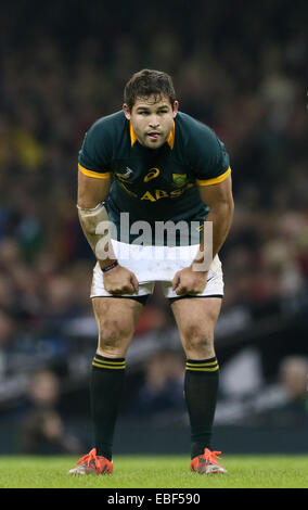 Cardiff, UK. 29th Nov, 2014. Cobus Reinach of South Africa - Autumn Internationals - Wales vs South Africa - Millennium Stadium - Cardiff - Wales - 29th November 2014 - Picture Simon Bellis/Sportimage. Credit:  csm/Alamy Live News Stock Photo