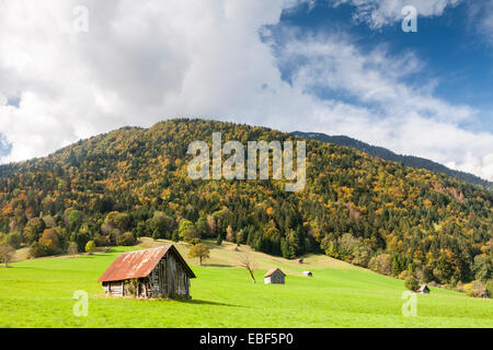 Fields near La Compôte village in the Massif des Bauges, Savoie, Rhône-Alpes, France Stock Photo