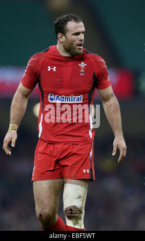 Cardiff, UK. 29th Nov, 2014. Jamie Roberts of Wales - Autumn Internationals - Wales vs South Africa - Millennium Stadium - Cardiff - Wales - 29th November 2014 - Picture Simon Bellis/Sportimage. Credit:  csm/Alamy Live News Stock Photo